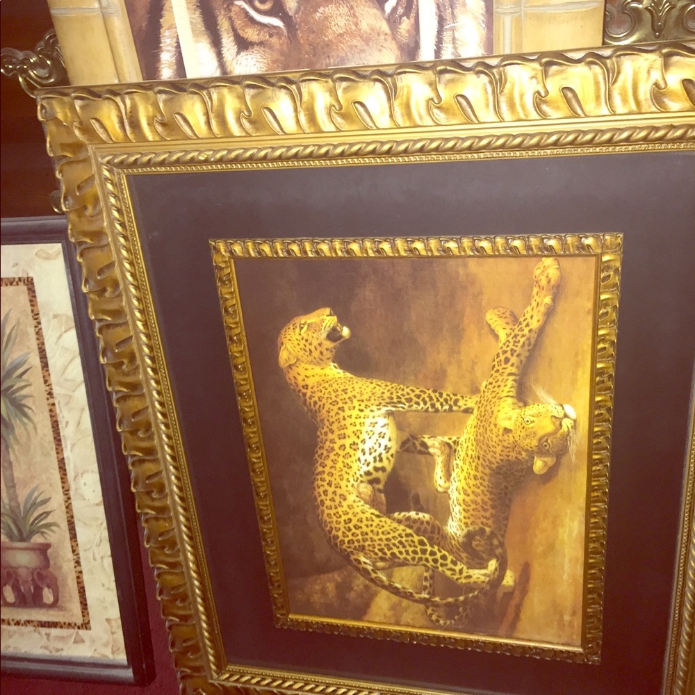 Home and garden pictures